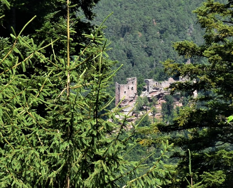 Chateaux Wasigenstein, late 1200s - Copy