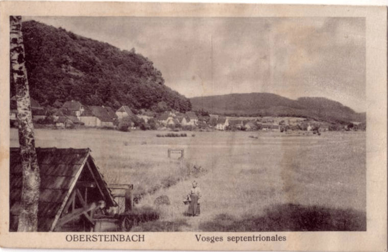 Obersteinbach Vosges septentrionales Farmer lady