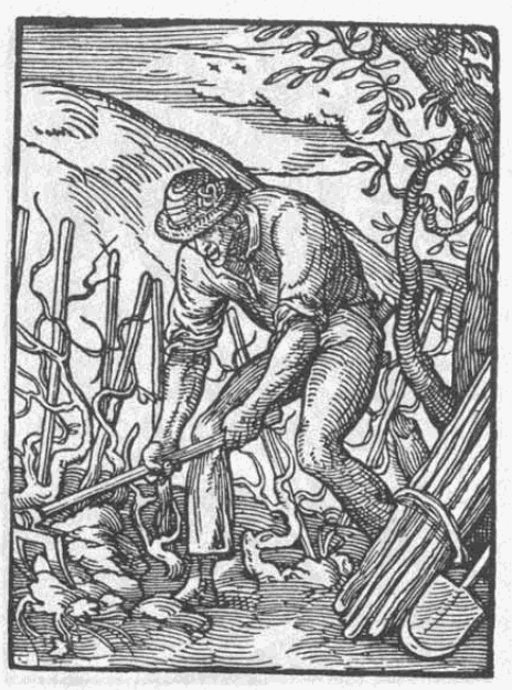 Rebmann-1568 The Rebmann from Jost Amman's Ständerbuch (1568)