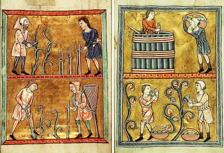 Weinbau_-_Psalter_1180