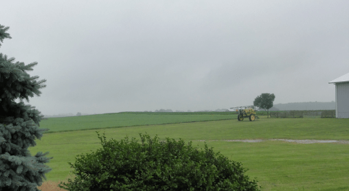 photo of site report from cousins a.jpg